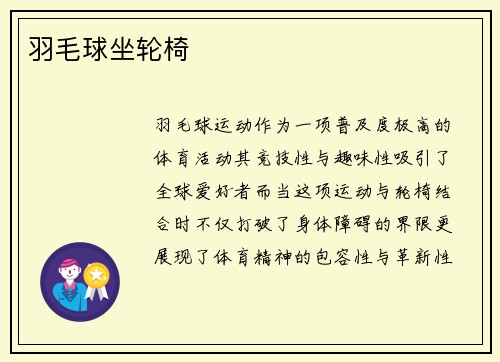 羽毛球坐轮椅