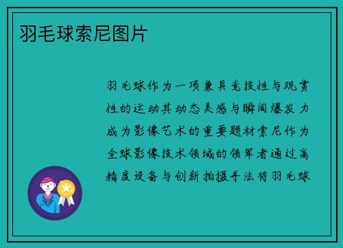 羽毛球索尼图片